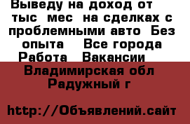 Выведу на доход от 400 тыс./мес. на сделках с проблемными авто. Без опыта. - Все города Работа » Вакансии   . Владимирская обл.,Радужный г.